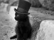 Momo.Sueño noche Tiempo,y existe tiemp...