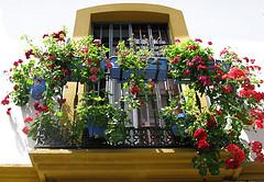 2450713549_b28ae5967c_m