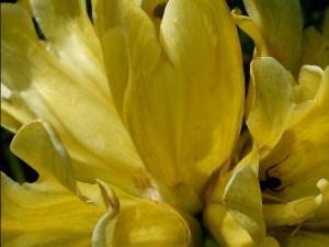 COLORES DE LA NATURALEZA 010 megustaelmedionatural