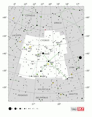 Constelaciones: Cygnus (El Cisne)