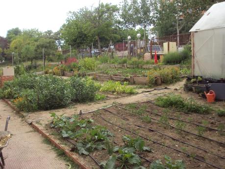 LA DISTRIBUCIÓN DEL HUERTO