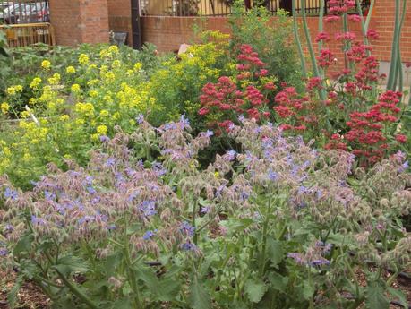 LA DISTRIBUCIÓN DEL HUERTO