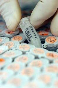 MEJORAR EL CONSENTIMIENTO INFORMADO