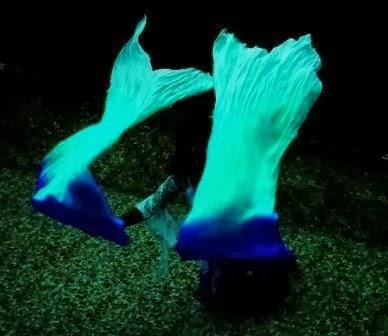 Día internacional de la PAZ