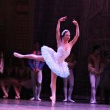 Ballet Nacional de Cuba. Coppelia y su Coppelio