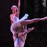 Ballet Nacional de Cuba. Coppelia y su Coppelio