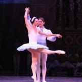 Ballet Nacional de Cuba. Coppelia y su Coppelio