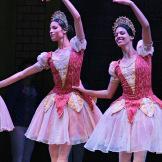 Ballet Nacional de Cuba. Coppelia y su Coppelio