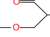 Síntesis carbohidratos plantas