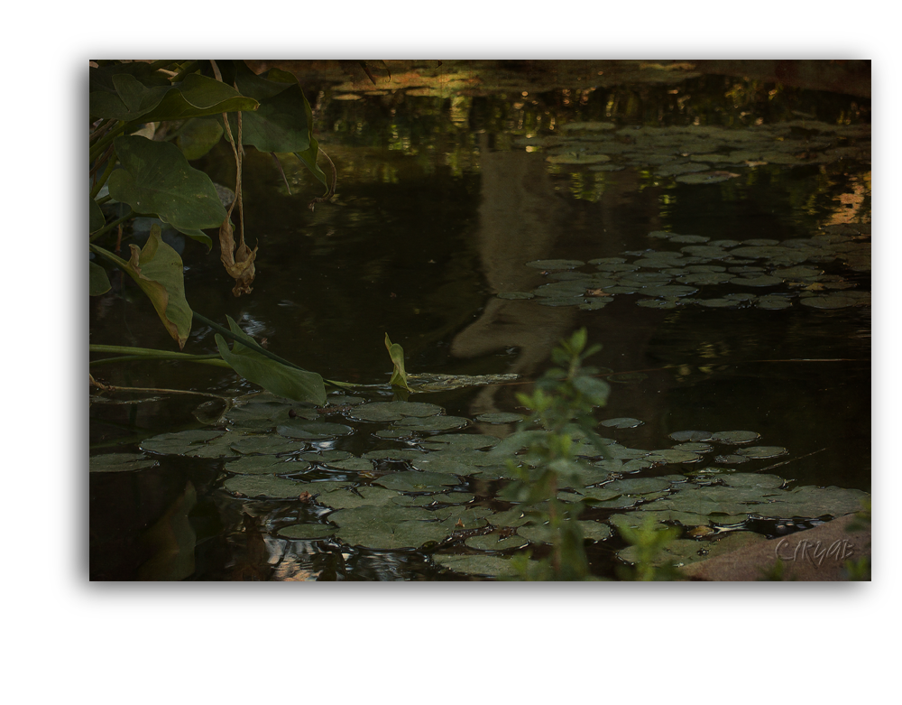 Jardines de la Agricultura -Los Patos-