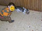 miembro nuevo familia