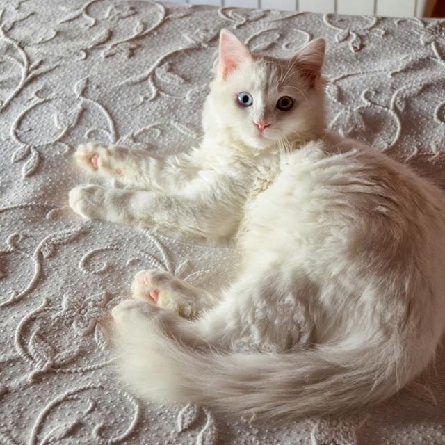 Bye Week! 22/September