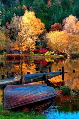 Feliz inicio de Otoño