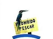 Tanto tienes tanto vales