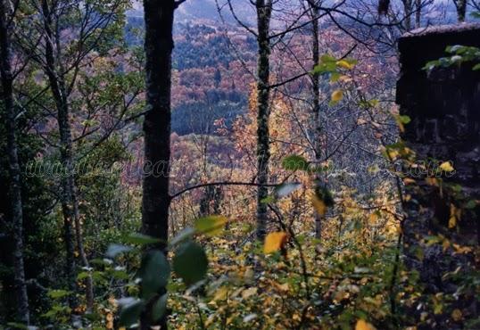 Parque Natural de Redes. Asturias. 