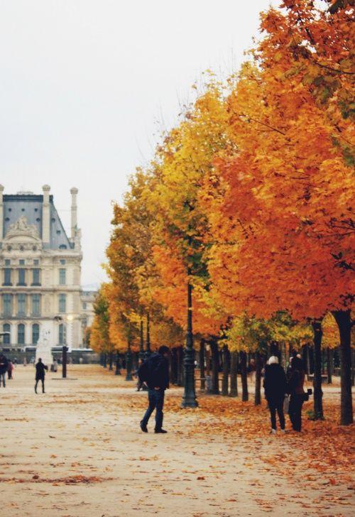 COLORES DE OTOÑO