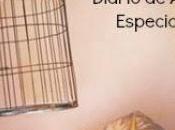 niño pájaro