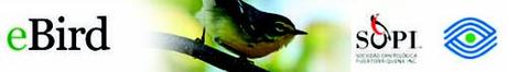 ebird Puerto Rico eBird: Herramientas globales para los observadores de aves