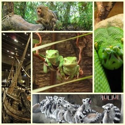 Tunnbröd o Pan Polar - Recuerdos de Suecia Tunnbröd o Pan Polar - Recuerdos de Suecia