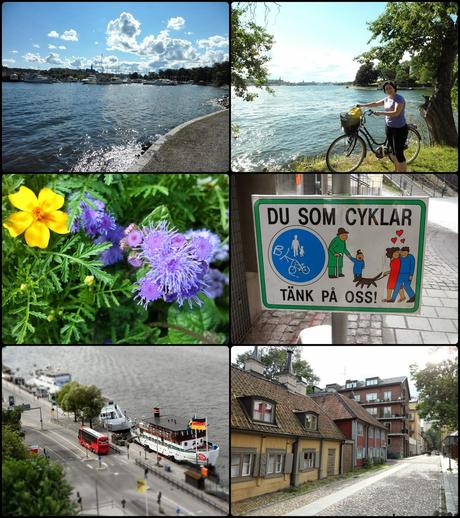 Tunnbröd o Pan Polar - Recuerdos de Suecia Tunnbröd o Pan Polar - Recuerdos de Suecia