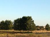 ¿Qué memoria sostenibilidad?