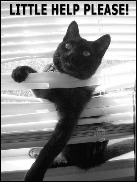 Servicio de Utilidad Pública (Ayuda)