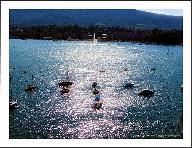 ¡El verano se terminó!