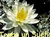 tenemos sueño