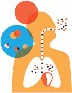 Una revisión de la política ambiental europea. El reto de 2013