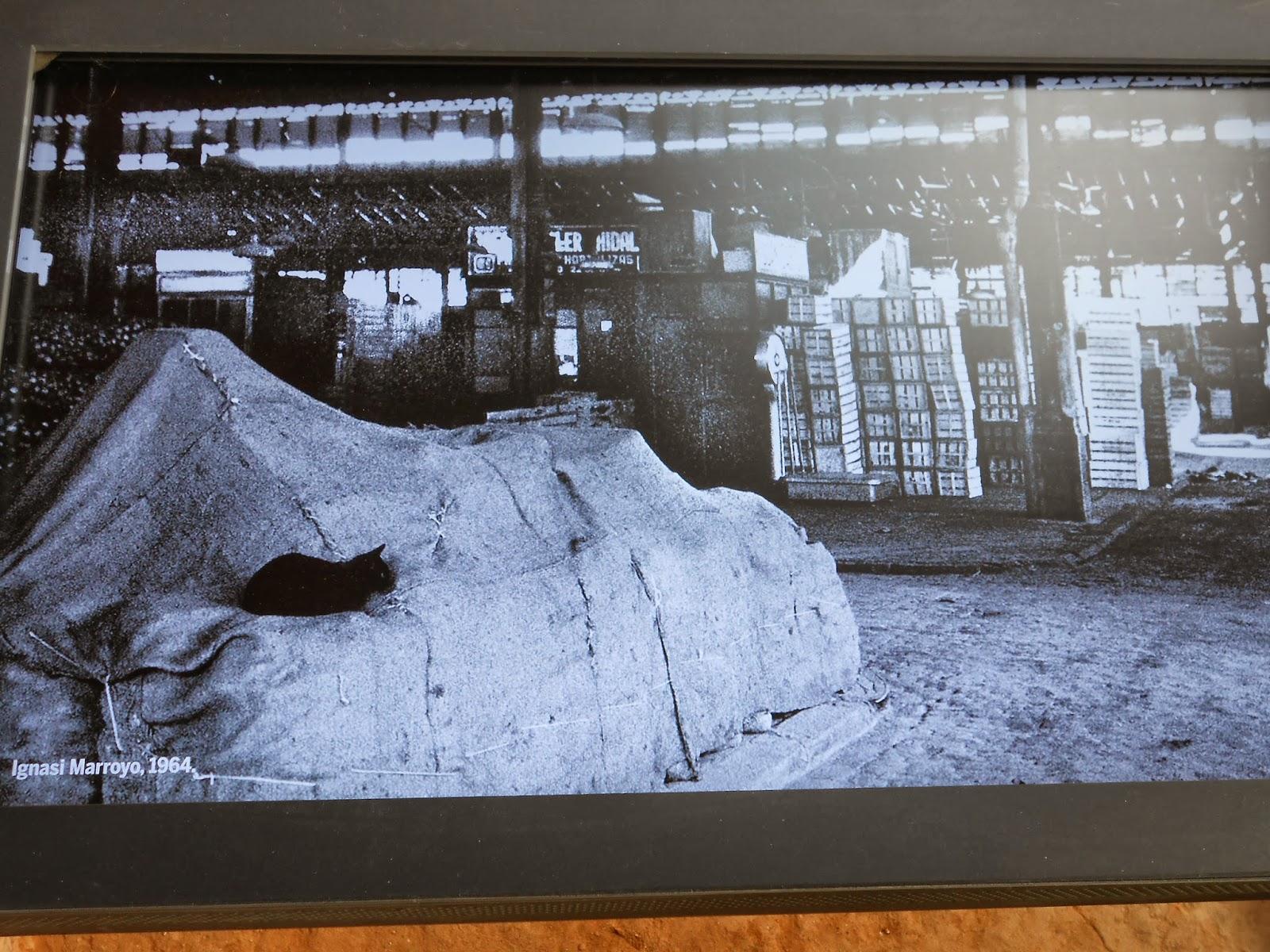 BARCELONA...EL BORN, UNA TARDE CULTURAL...24-09-2013...3ª  ,Y ÚLTIMA PARTE...