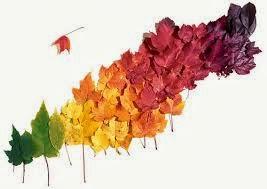 Otoño-Invierno 2013-14