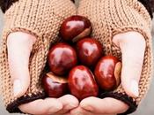 Otoño-Invierno 2013-14