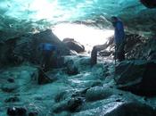 Emergen tumba glacial árboles bosque milenario