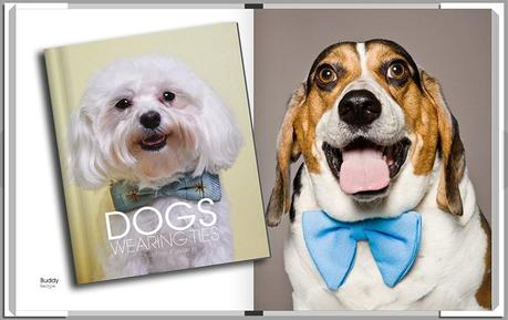 My life in a book… Blurb_photobook