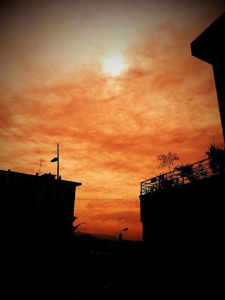 Androidografia Barakaldo 1491