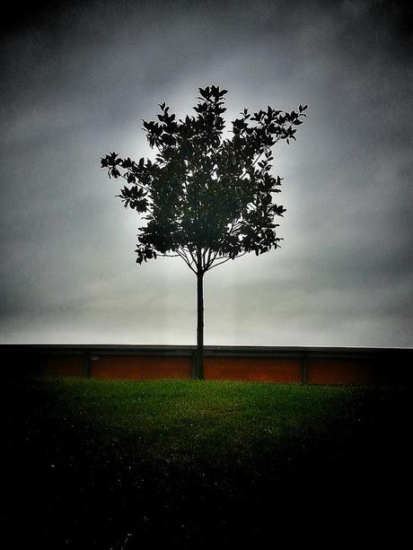 Androidografia Barakaldo 1494