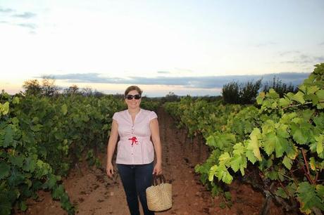 Tras la vendimia... Tras la vendimia...