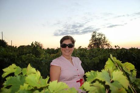 Tras la vendimia... Tras la vendimia...