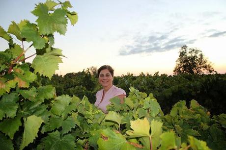 Tras la vendimia... Tras la vendimia...