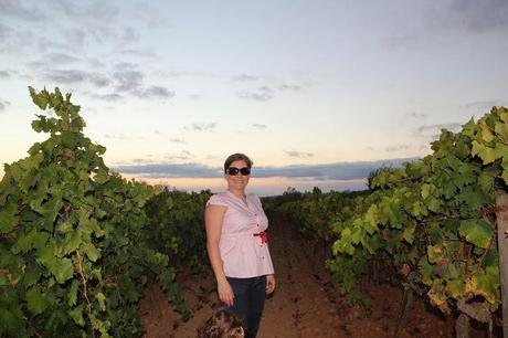 Tras la vendimia... Tras la vendimia...