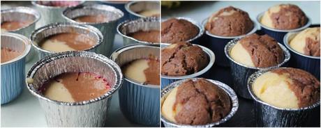 Magdalenas bicolor catsh