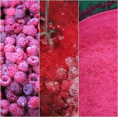 Mermelada casera de frambuesas cats (2)