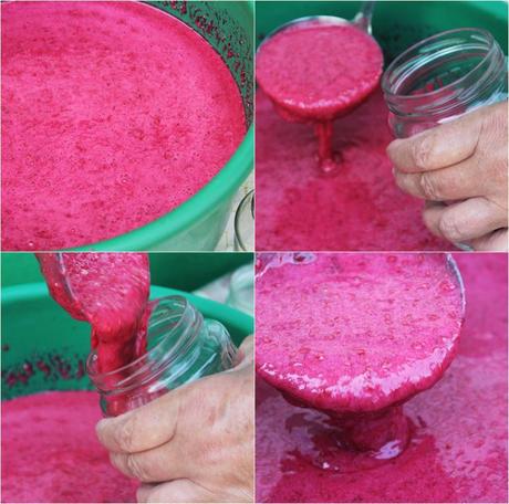 Mermelada casera de frambuesas cats