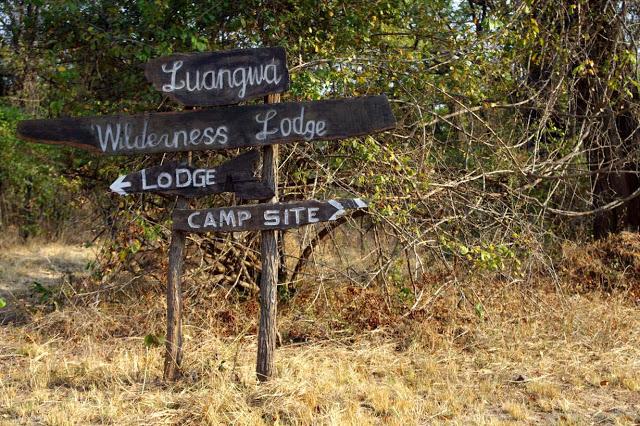 Luambe, o el dulce canto del hipopótamo