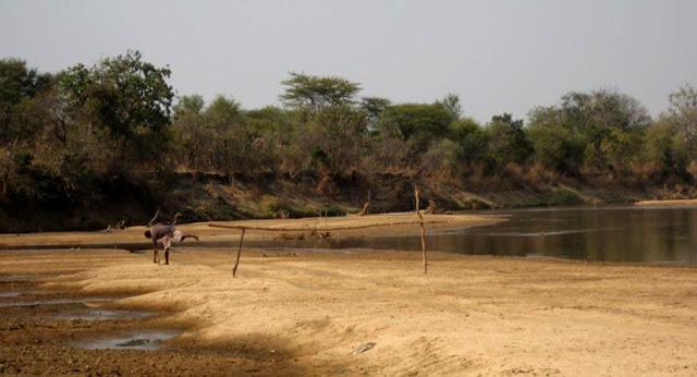 Luambe, o el dulce canto del hipopótamo