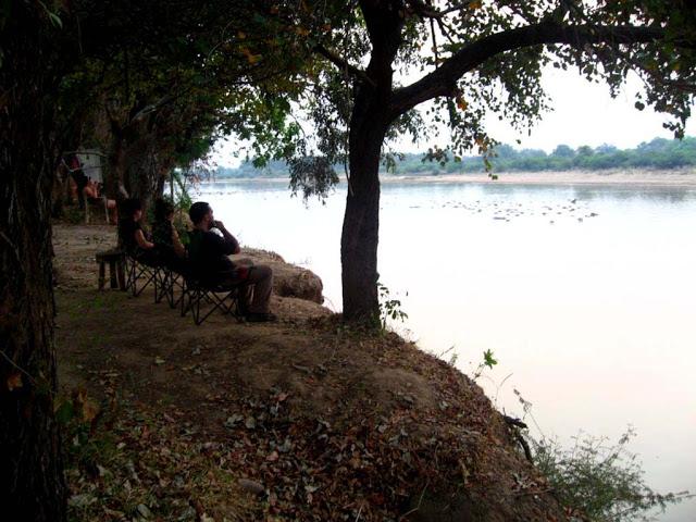 Luambe, o el dulce canto del hipopótamo