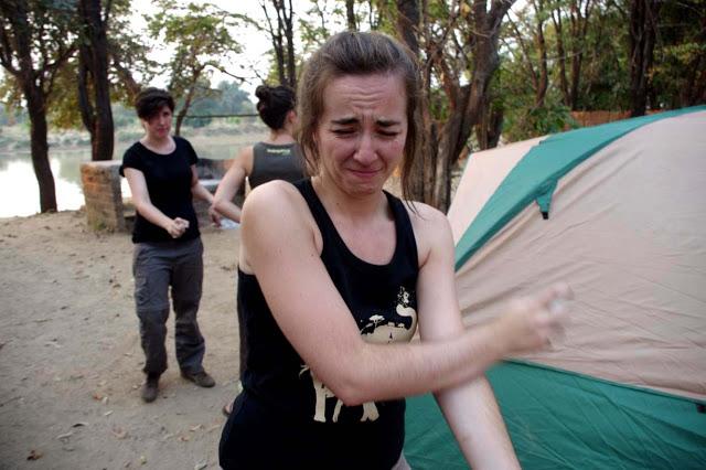 Luambe, o el dulce canto del hipopótamo