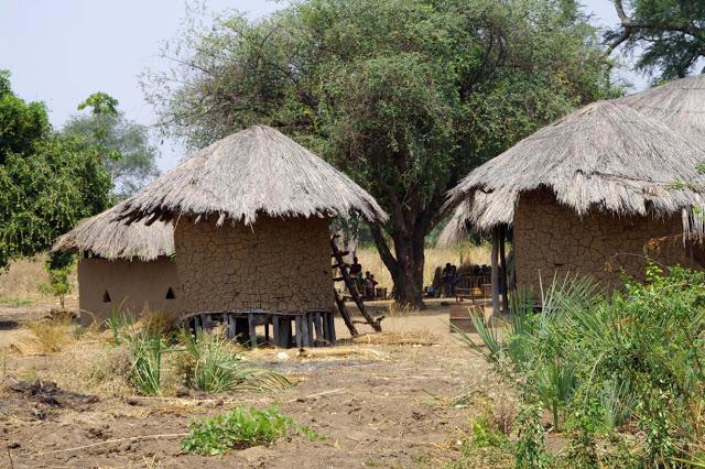Luambe, o el dulce canto del hipopótamo