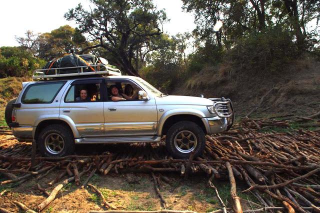 Luambe, o el dulce canto del hipopótamo