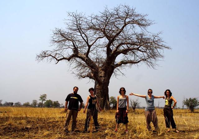 Luambe, o el dulce canto del hipopótamo